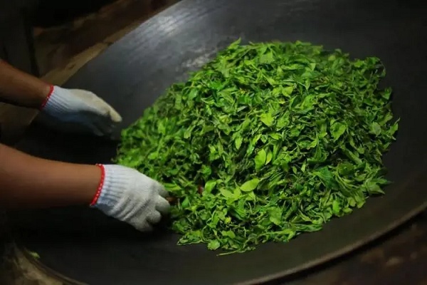 福地普洱——值得选择的匠心好茶