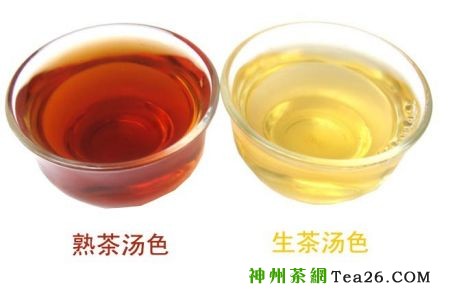 普洱茶是一种什么茶？