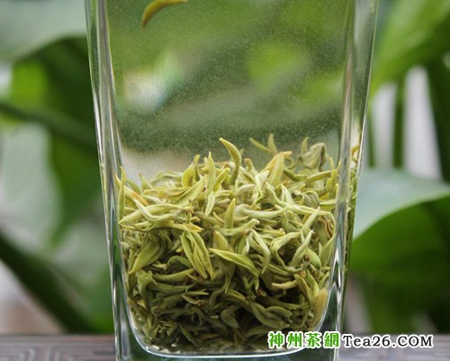 “中国最古老的名茶”蒙顶甘露属于什么茶？